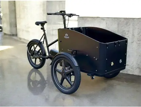 Economy Deluxe elektrische bakfiets - Deluxe elektrische bakfiets