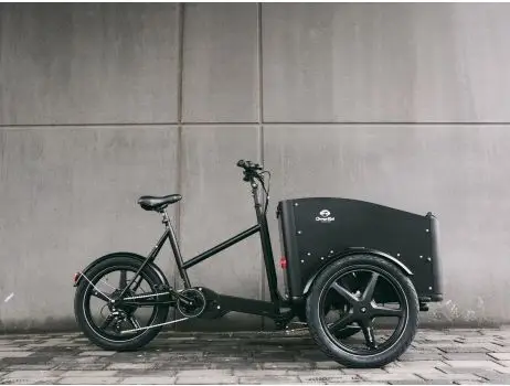 PRO PLUS Deluxe elektrische bakfiets - Deluxe elektrische bakfiets