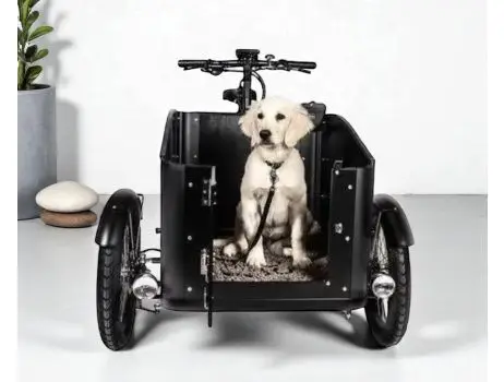 Economy Doggie Bike elektrische bakfiets - Doggie Bike